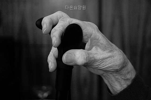다온요양원 사진 3