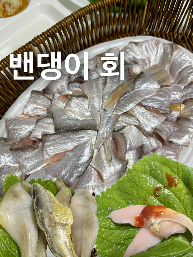 강민경 유튜브 보고 밴댕이 회 주문밴댕이 먹방강화도 밴댕이 당일배송 후기⛴️