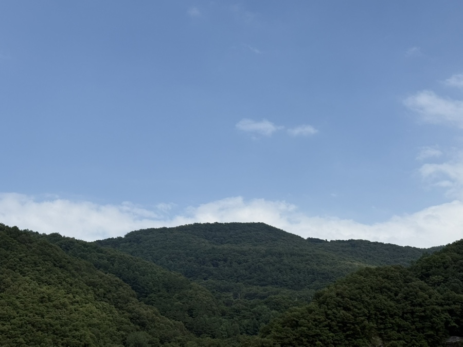 최옥선장금이네 사진 2