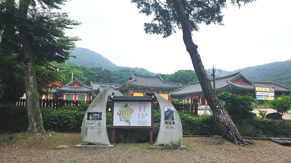 소담 사진 3