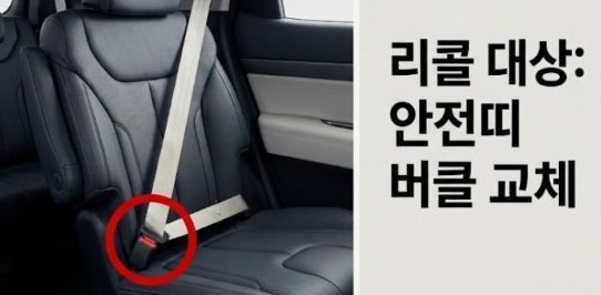 팰리세이드 또 리콜~ (안전벨트 버클 리콜 안내! 내 차량도 대상일까?)