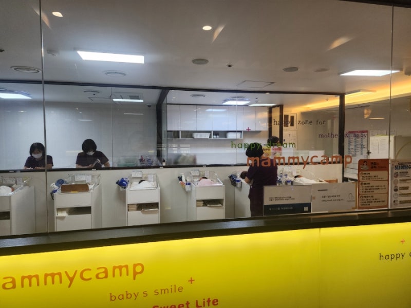 부산 대연본점 마미캠프 산후조리원 만족 후기