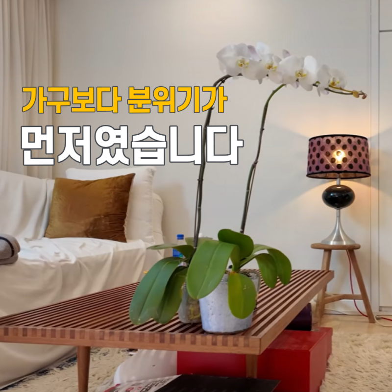 잘 꾸민 집과 취향 있는 집은 달랐습니다… 정재형 인테리어에서 보인 차이