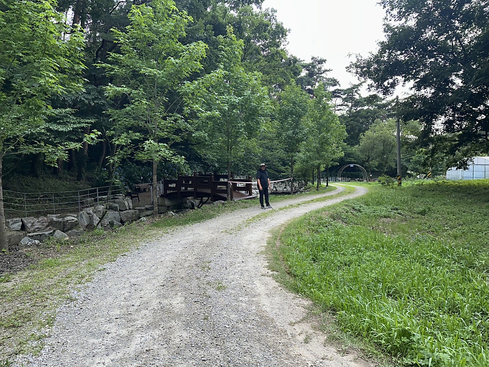 안골 사진 2