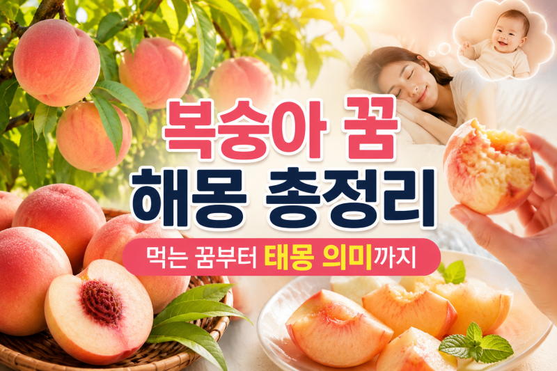 복숭아 꿈 해몽 총정리, 먹는 꿈부터 태몽 의미까지