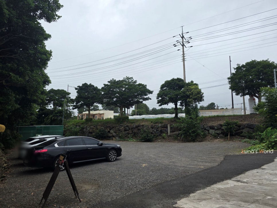 무량제주 사진 4
