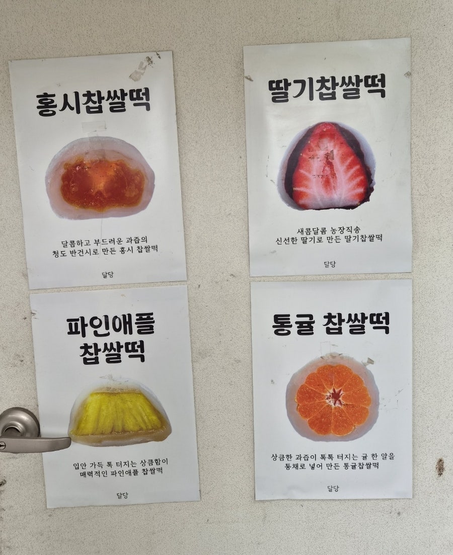 달당 사진 5