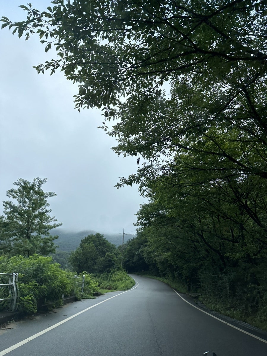 카페둔리 사진 5