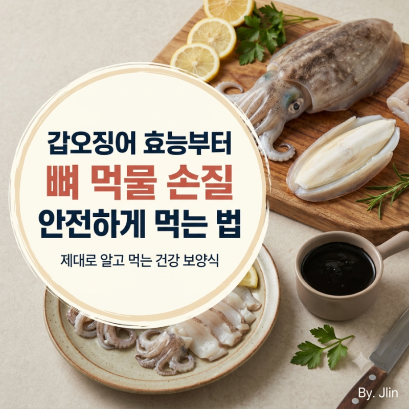 갑오징어 효능부터 뼈·먹물까지, 안전하게 손질하고 먹는 법