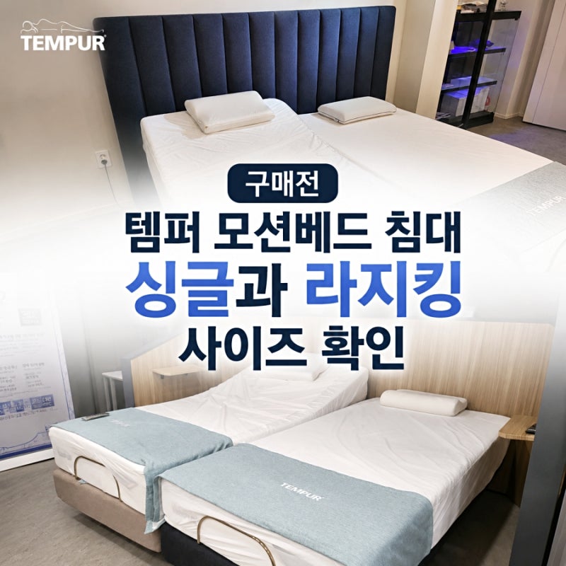 구매전 템퍼 모션베드 침대 싱글과 라지킹 사이즈 확인(일산 템퍼매장)