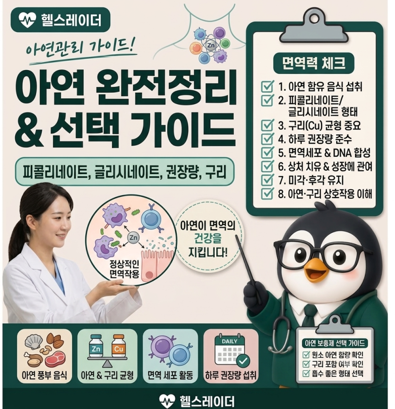 아연 효능과 고르는 법 총정리 (하루 권장량·구리 균형·형태별 차이)