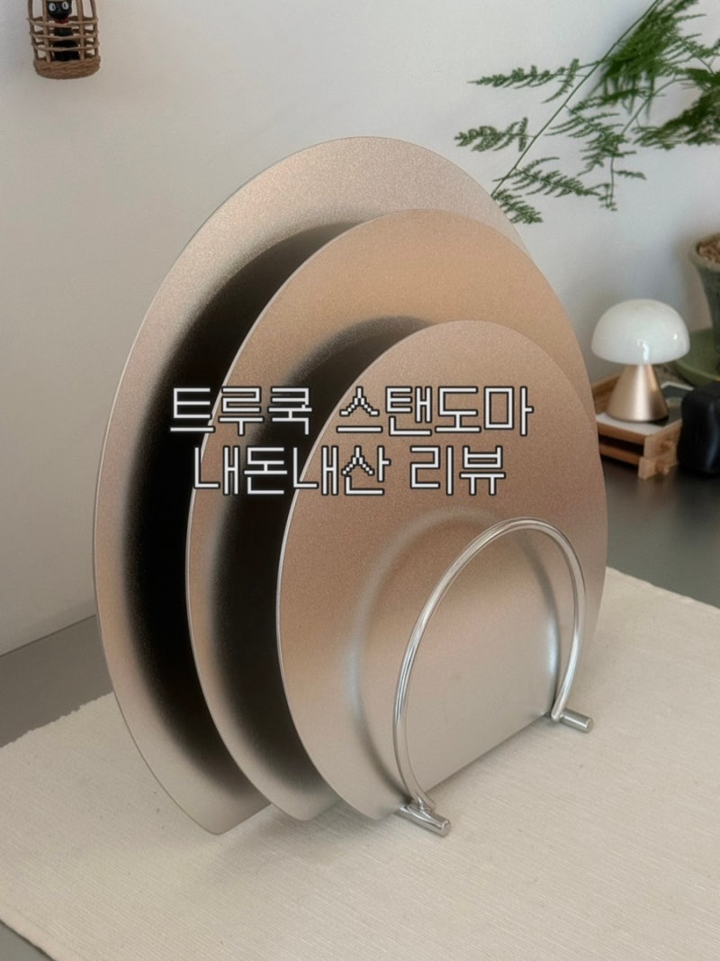 트루쿡 스텐도마 내돈내산 솔직후기