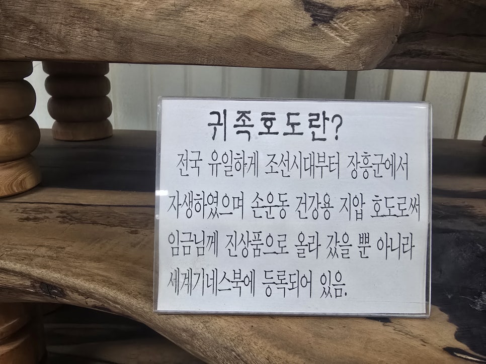 귀족호도박물관 사진 6