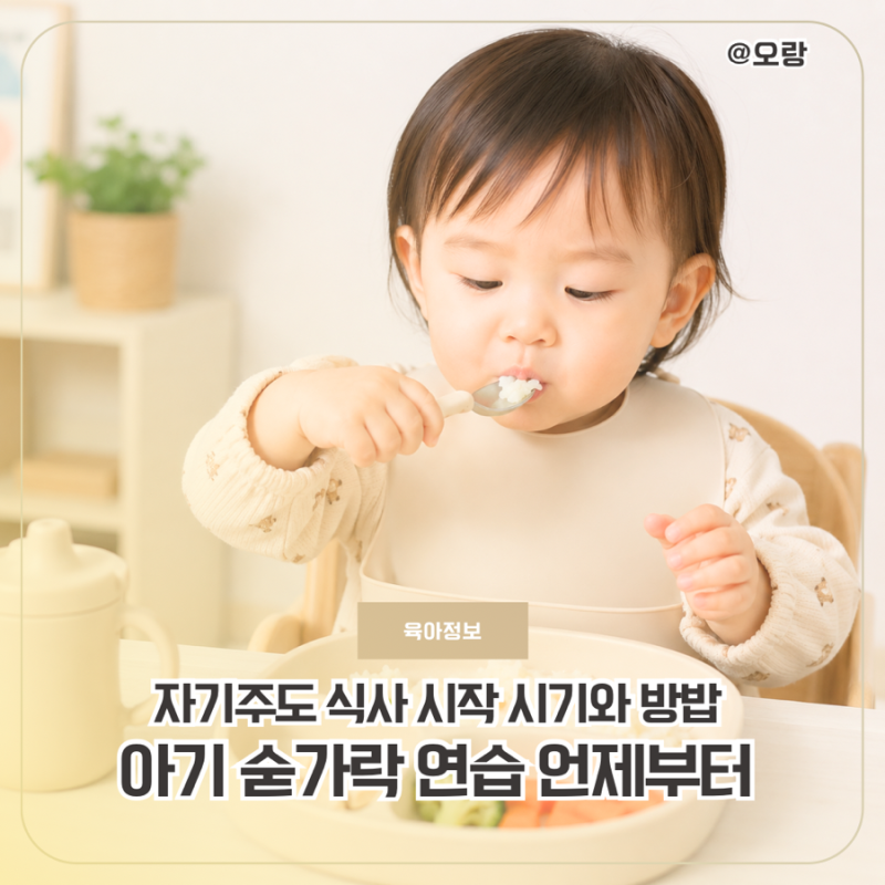 아기 숟가락 연습 언제부터 자기주도 식사 시작 시기와 방법