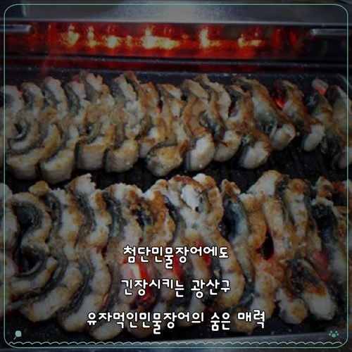 유자먹인민물장어 사진 1