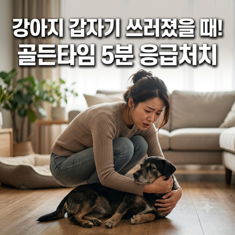 갑자기 거품 물고 쓰러진 아이, 강아지 간질 증상과 골든타임 5분 응급처치 가이드