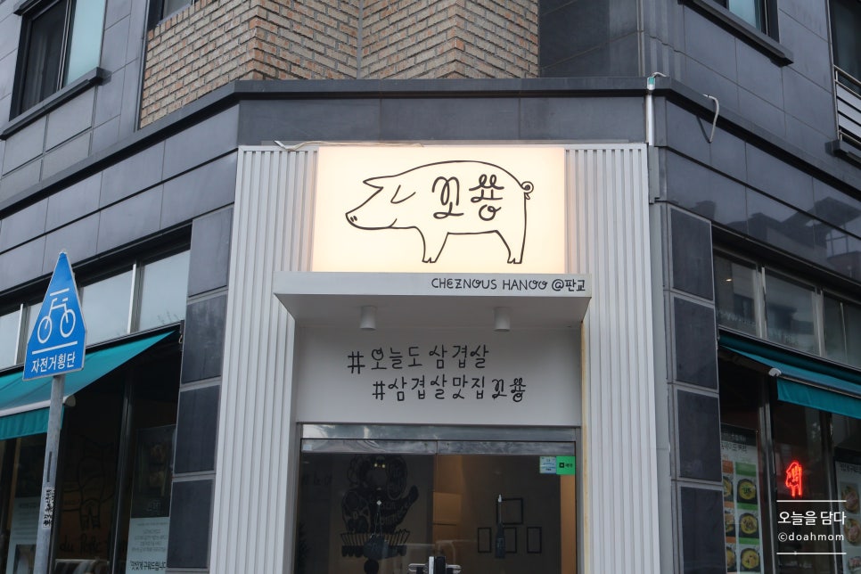꼬숑 사진 1