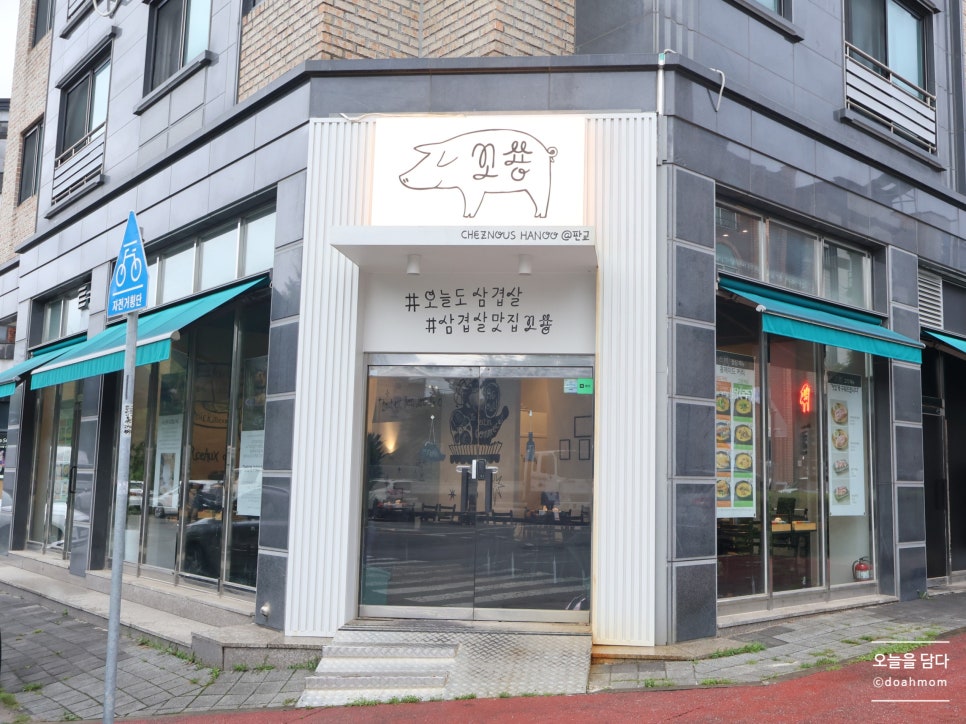 꼬숑 사진 3