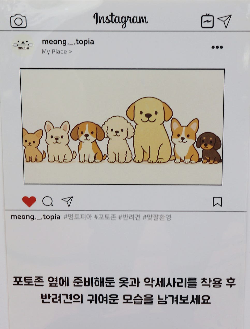 멍토피아 사진 6