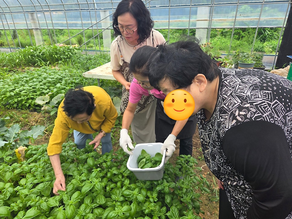 한나그린힐 사진 2
