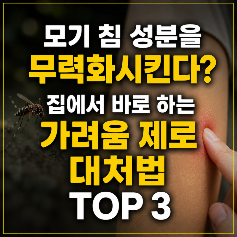 긁지 말고 '이것' 대보세요! 모기 물렸을 때 5초 만에 가려움 싹 지우는 법