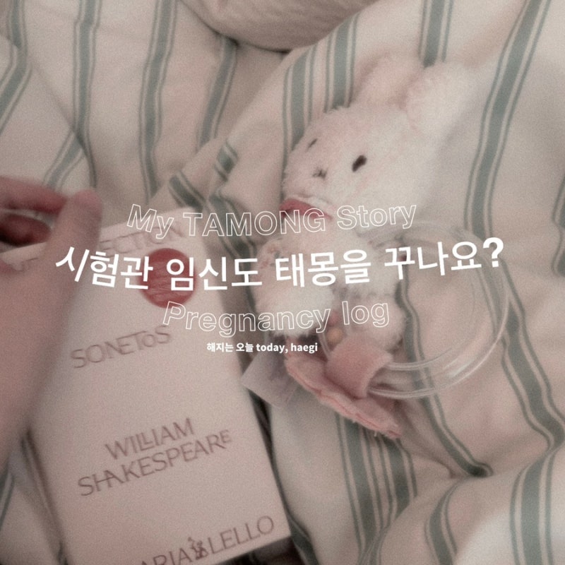 시험관 임신 쌍둥이 태몽 | 단일꿈 새꿈 해석, 유산 전 태몽