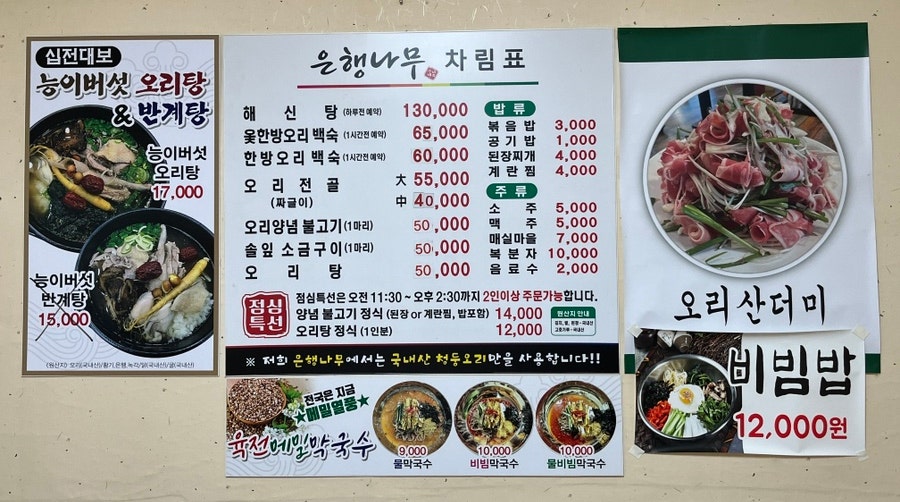 은행나무 사진 5