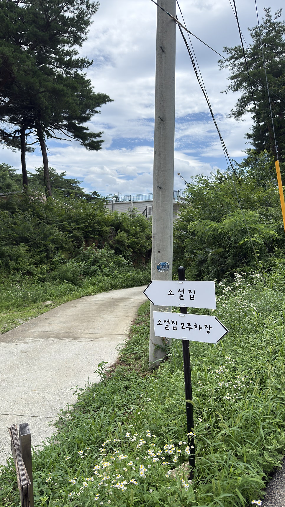 소설집 사진 4