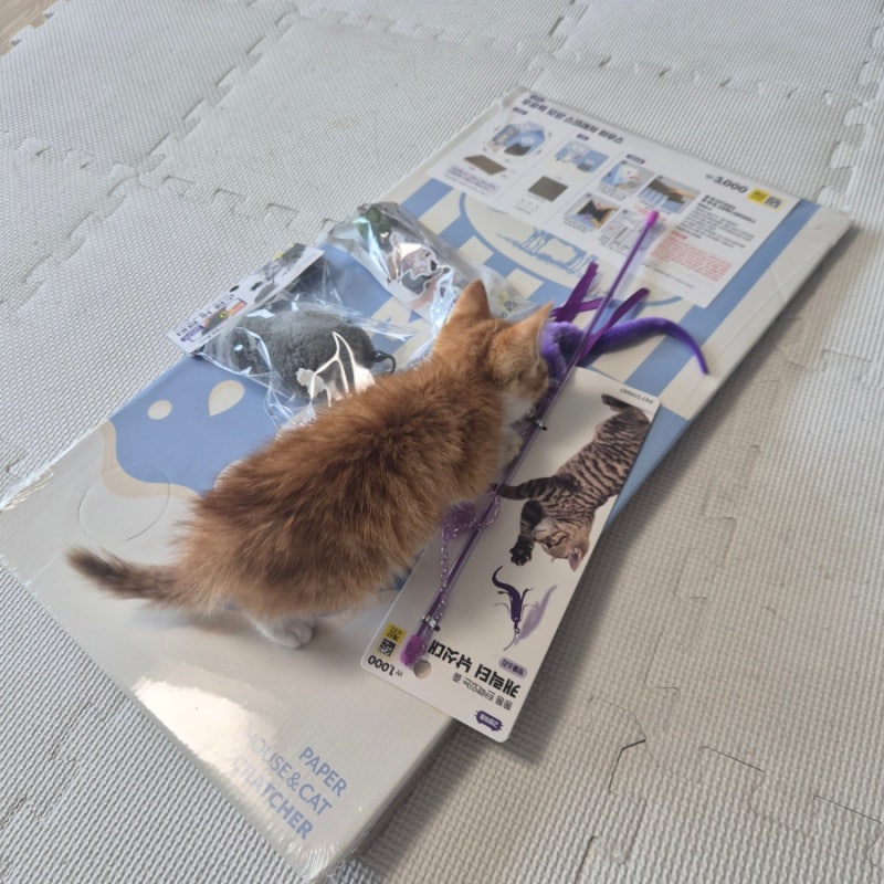 초보 집사 추천! 다이소 고양이 용품 우유팩 스크래쳐·쥐돌이 낚싯대·캣닢볼 소개