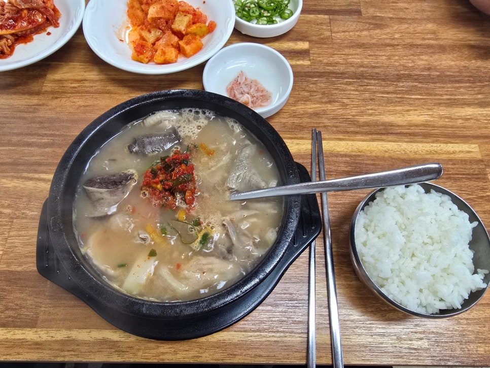 개미집 사진 6