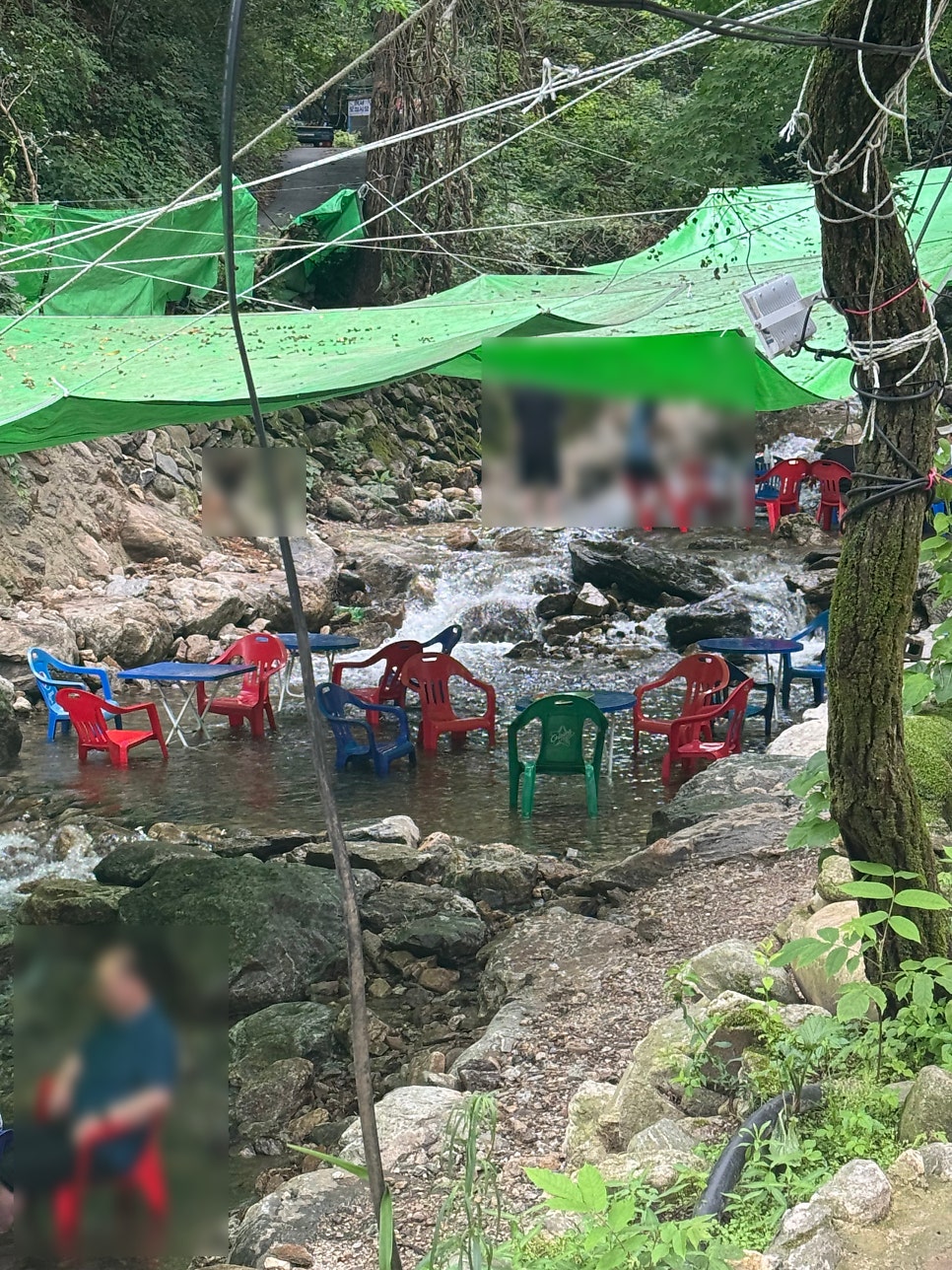 들림집 사진 6