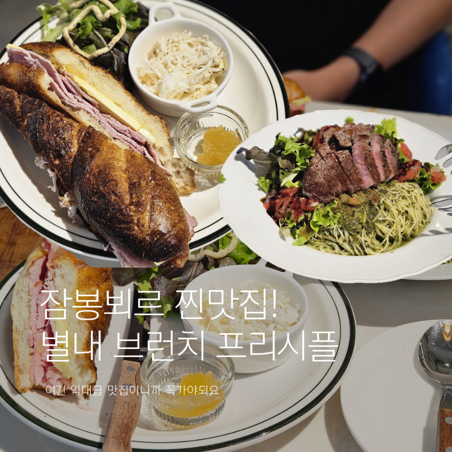 프린시플 사진 1
