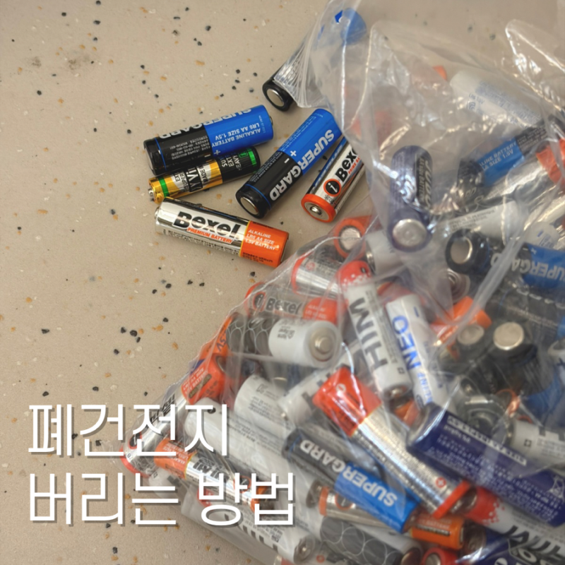 폐건전지 버리는 방법 수거 주민센터 행정복지센터 새건전지로 교환
