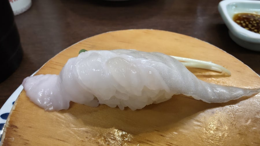 모구모구 사진 5