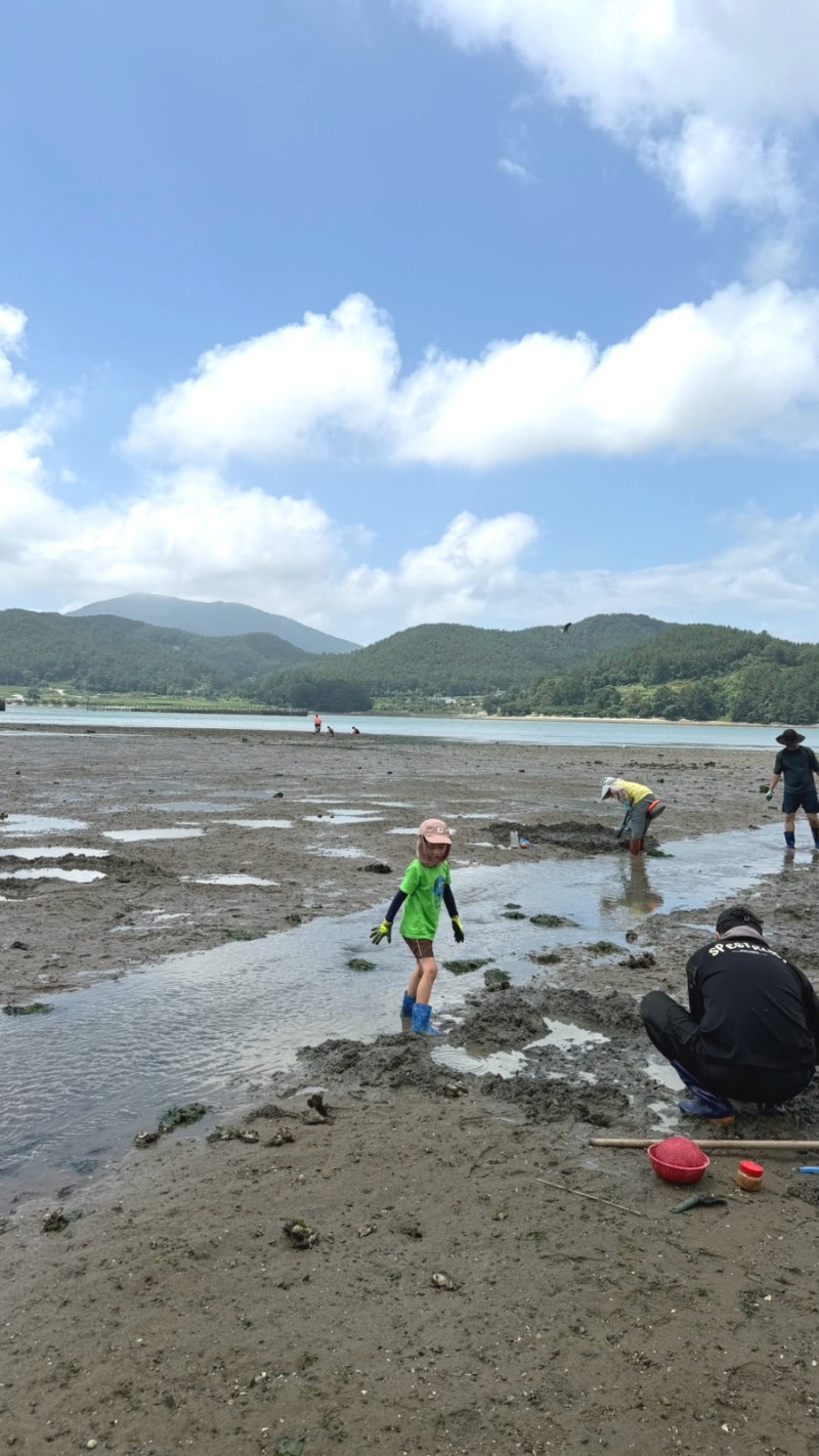 Gyeongnam Namhae Summer Trip: Mudskipper Catching Experience at Jeondo Tidal Flat, a Recommended Place for Kids in Namhae, Mudskipper Fritters, Visit...