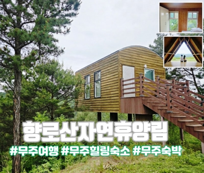 무주숙소 향로산자연휴양림 트리하우스 은행나무 객실 이용후기! 숲뷰가 아름다운 힐링 숙....