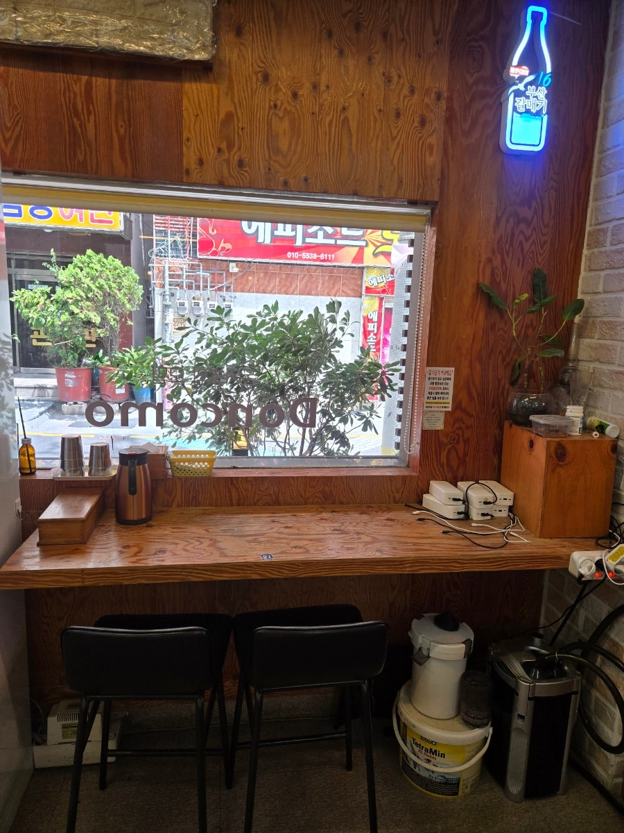 돈코모 사진 4