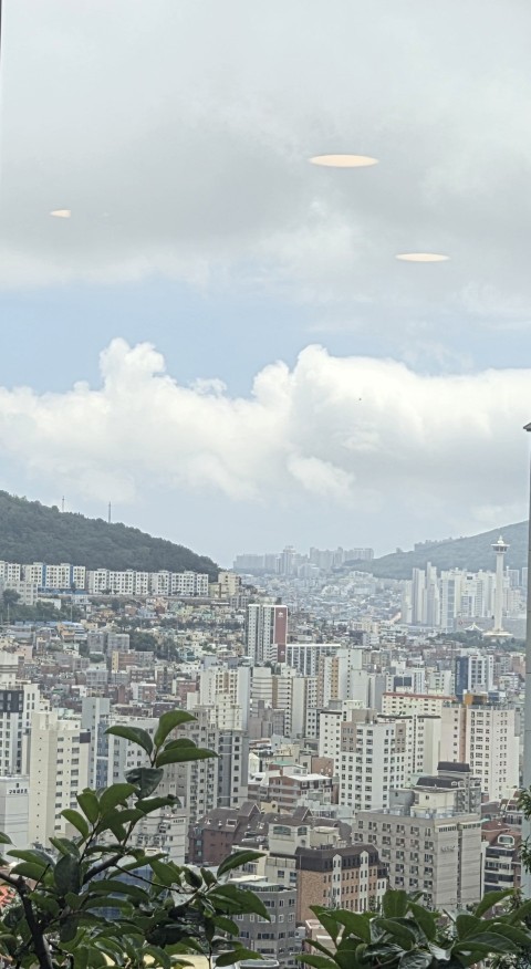 토연정두리해장국 사진 6