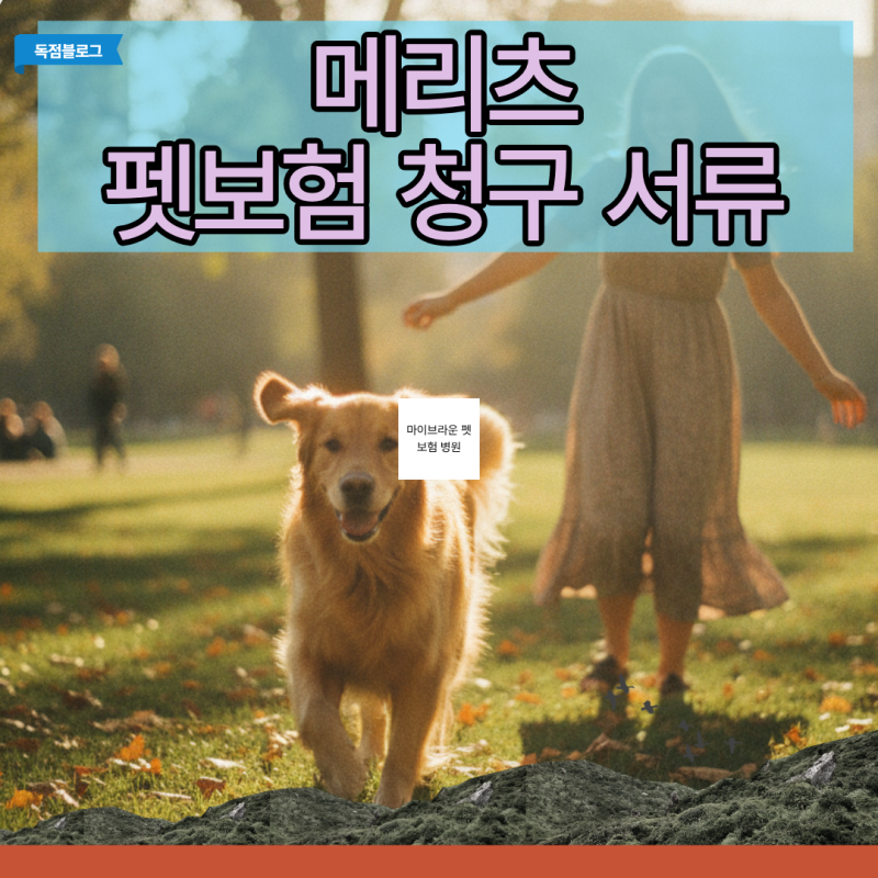 서류 누락 없이 한 번에 통과하는 메리츠 펫보험 청구 서류 완벽 가이드
