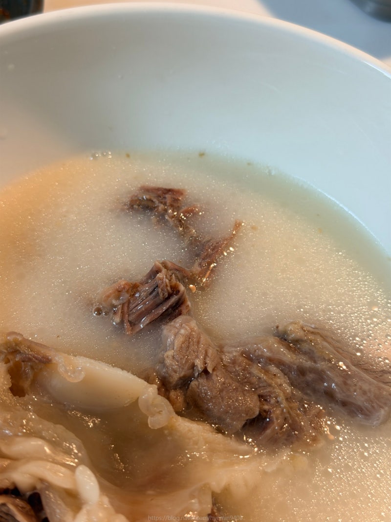 한우 사골 곰탕 끓이는법 WMF곰솥 농협 스지 도가니 핏물빼기