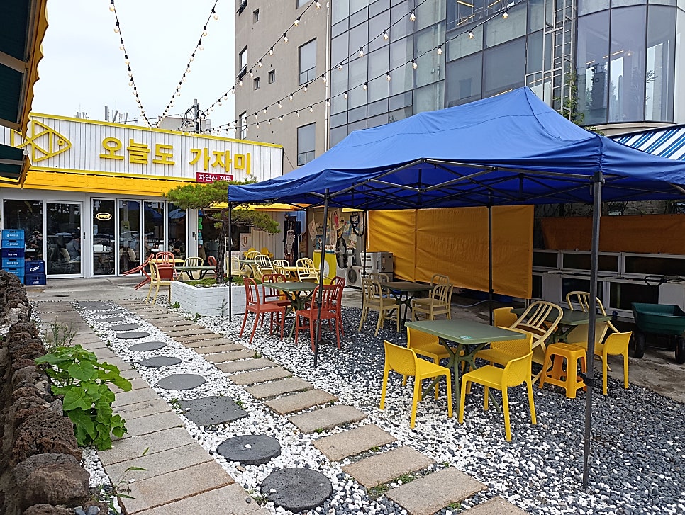 오늘도가자미 사진 2