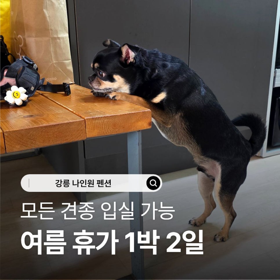 나인원펜션 사진 1