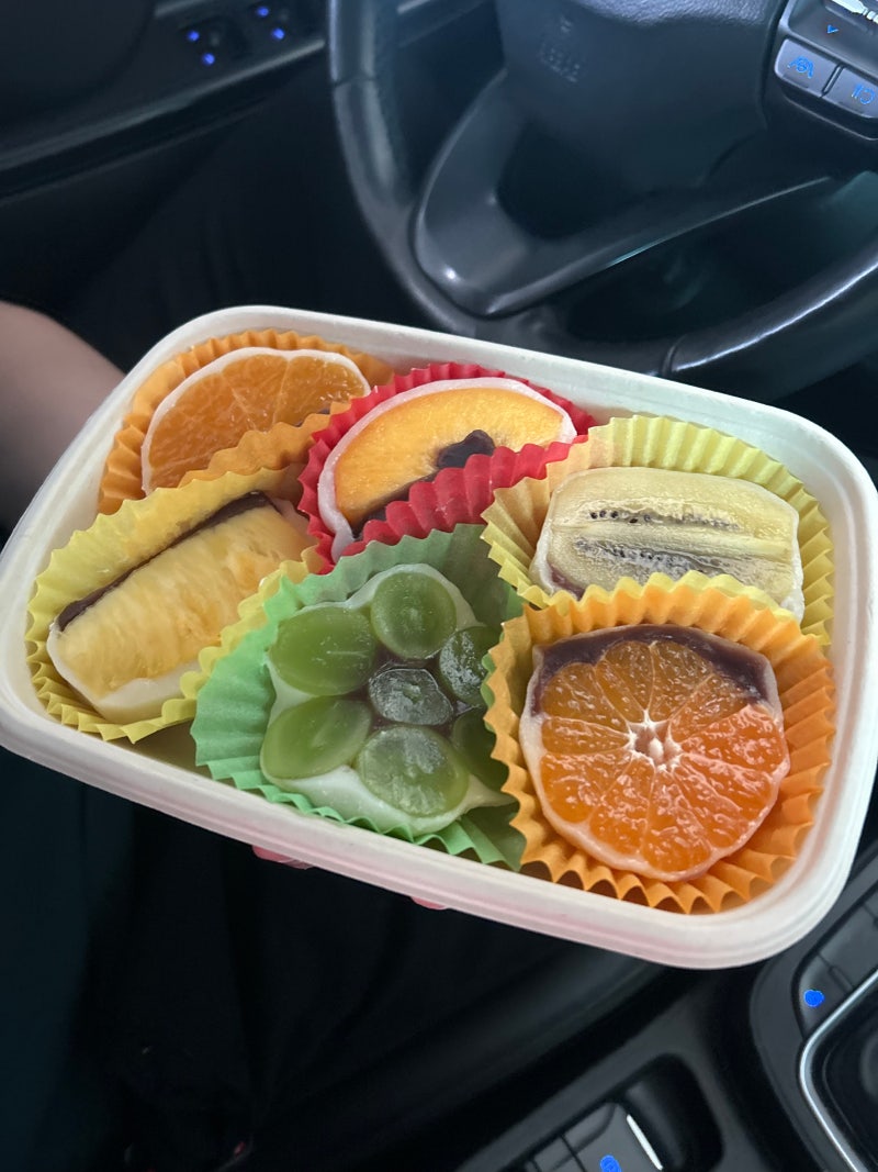 제주 모찌 탐방기 | 동문시장 운화당과 제주 공항 근처 모찌마루 솔직 비교 후기 리뷰