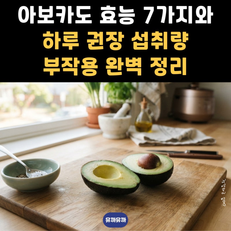아보카도 효능 7가지와 하루 권장 섭취량 부작용 완벽 정리
