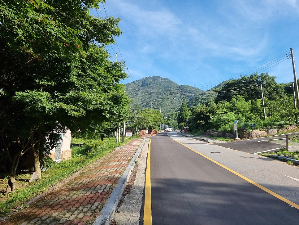 Ipamsan photo 5