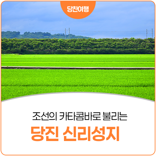 신리성지 순교미술관 사진 1
