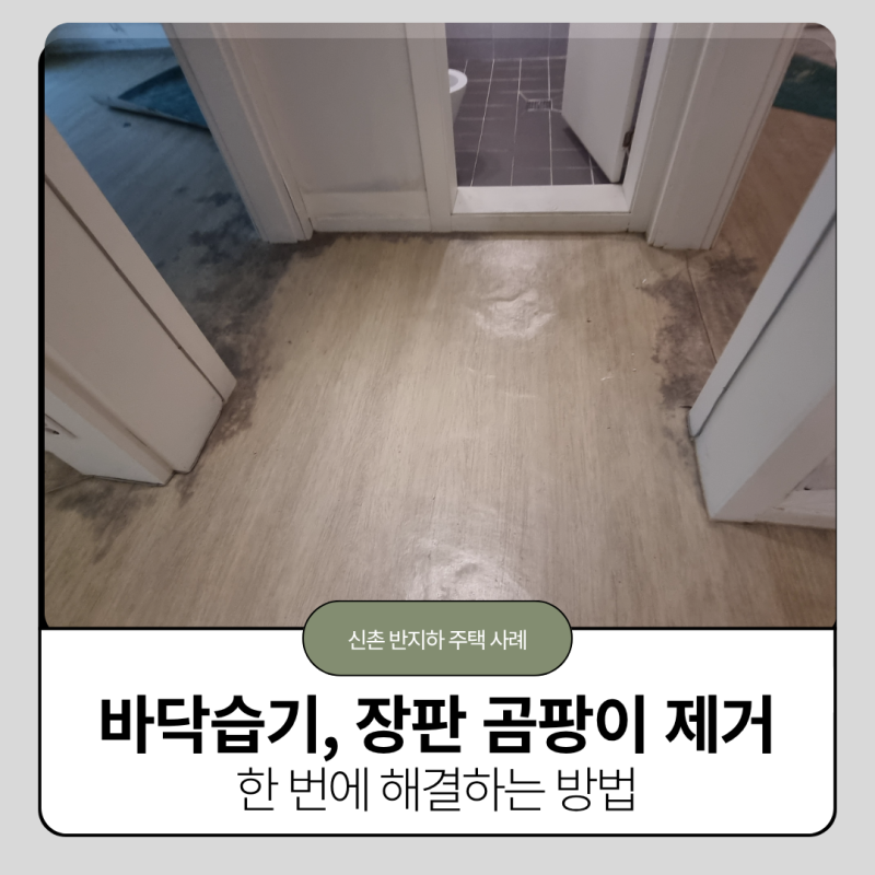 바닥 습기로 생긴 장판 곰팡이 제거, 한 번에 해결하는 방법