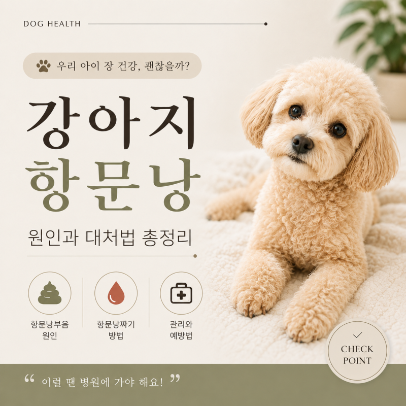 강아지 항문낭, 항문낭짜기 꼭 해야 할까요? 항문낭부음 원인부터 관리법까지