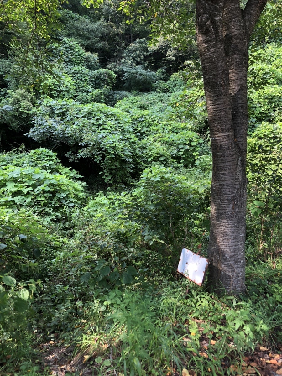 오봉산 사진 2