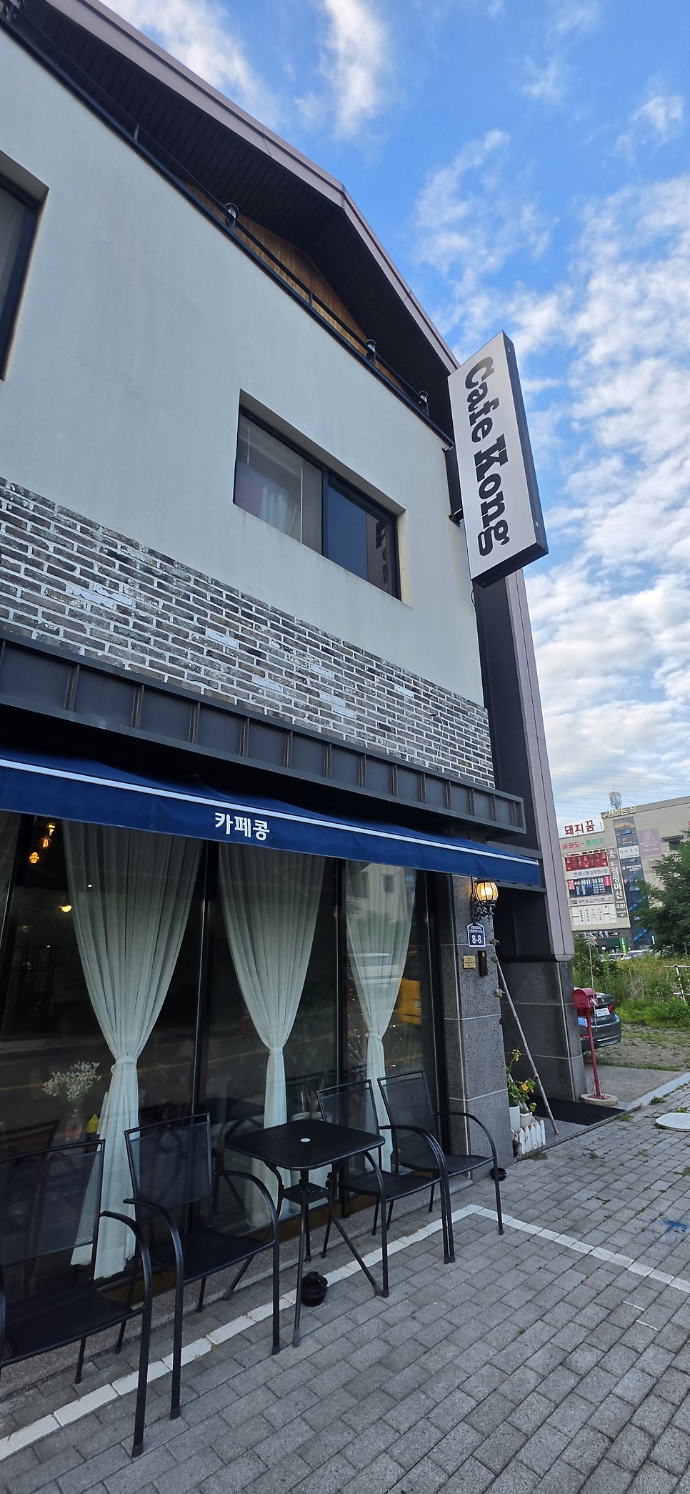 카페콩 사진 2